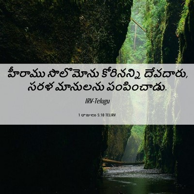 Picture 06 - 1 రాజులు 5:10 TELIRV - హీరాము సొలొమోను - Bible Verse Picture