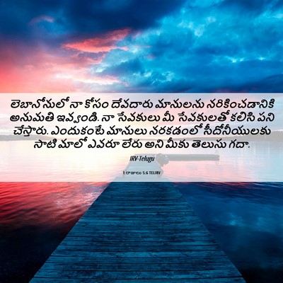 Picture 06 - 1 రాజులు 5:6 TELIRV - లెబానోనులో నా - Bible Verse Picture