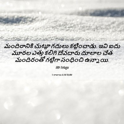 Picture 06 - 1 రాజులు 6:10 TELIRV - మందిరానికి చుట్టూ - Bible Verse Picture