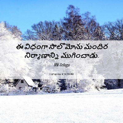 Picture 06 - 1 రాజులు 6:14 TELIRV - ఈ విధంగా సొలొమోను - Bible Verse Picture