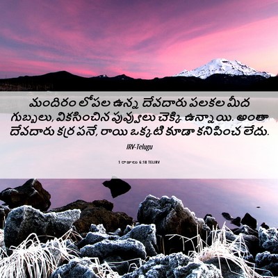 Picture 06 - 1 రాజులు 6:18 TELIRV - మందిరం లోపల ఉన్న - Bible Verse Picture