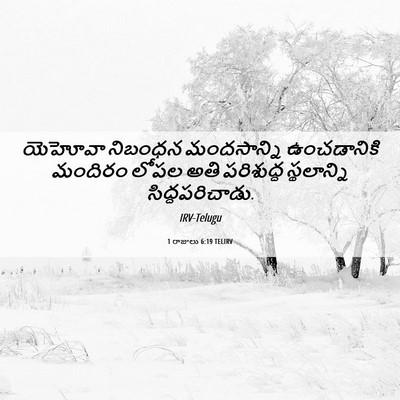 Picture 06 - 1 రాజులు 6:19 TELIRV - యెహోవా నిబంధన - Bible Verse Picture