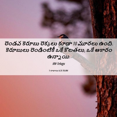 Picture 06 - 1 రాజులు 6:25 TELIRV - రెండవ కెరూబు - Bible Verse Picture