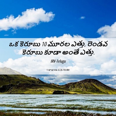 Picture 06 - 1 రాజులు 6:26 TELIRV - ఒక కెరూబు 10 మూరల - Bible Verse Picture