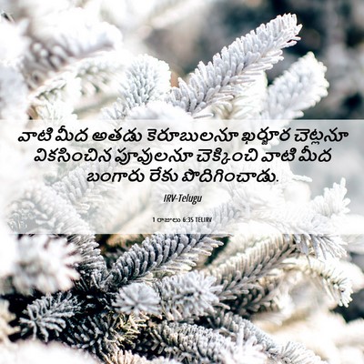 Picture 06 - 1 రాజులు 6:35 TELIRV - వాటి మీద అతడు - Bible Verse Picture