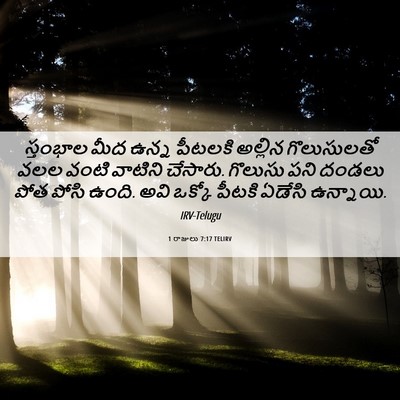 Picture 06 - 1 రాజులు 7:17 TELIRV - స్తంభాల మీద ఉన్న - Bible Verse Picture