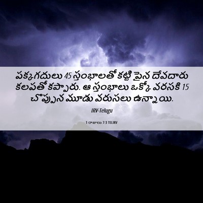 Picture 06 - 1 రాజులు 7:3 TELIRV - పక్కగదులు 45 - Bible Verse Picture