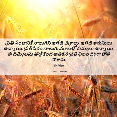 Picture 06 - 1 రాజులు 7:30 TELIRV - ప్రతి స్తంభానికీ - Bible Verse Picture