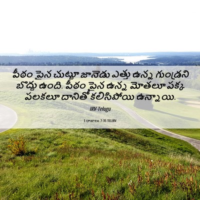 Picture 06 - 1 రాజులు 7:35 TELIRV - పీఠం పైన చుట్టూ - Bible Verse Picture