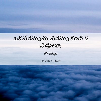Picture 06 - 1 రాజులు 7:44 TELIRV - ఒక సరస్సును, - Bible Verse Picture