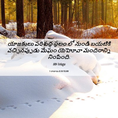 Picture 06 - 1 రాజులు 8:10 TELIRV - యాజకులు పరిశుద్ధ - Bible Verse Picture
