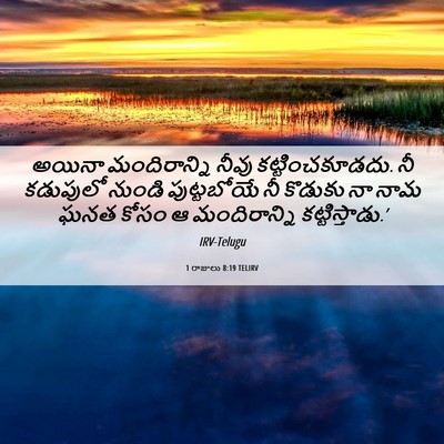 Picture 06 - 1 రాజులు 8:19 TELIRV - అయినా మందిరాన్ని - Bible Verse Picture