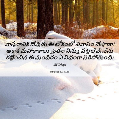 Picture 06 - 1 రాజులు 8:27 TELIRV - వాస్తవానికి - Bible Verse Picture