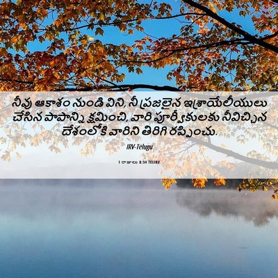 Picture 06 - 1 రాజులు 8:34 TELIRV - నీవు ఆకాశం నుండి - Bible Verse Picture