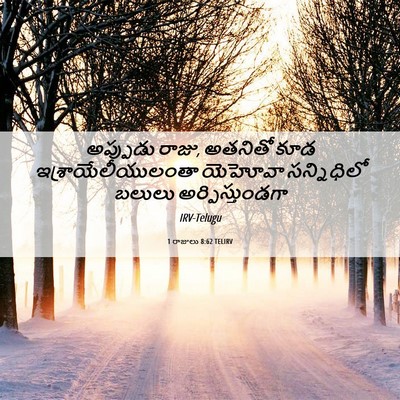 Picture 06 - 1 రాజులు 8:62 TELIRV - అప్పుడు రాజు, - Bible Verse Picture
