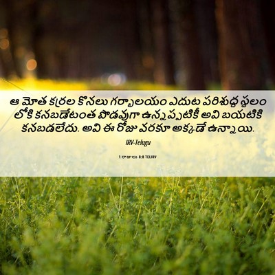 Picture 06 - 1 రాజులు 8:8 TELIRV - ఆ మోత కర్రల కొనలు - Bible Verse Picture