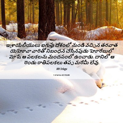 Picture 06 - 1 రాజులు 8:9 TELIRV - ఇశ్రాయేలీయులు - Bible Verse Picture