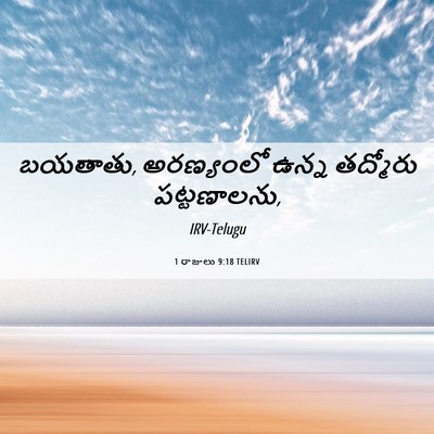 Picture 06 - 1 రాజులు 9:18 TELIRV - బయతాతు, అరణ్యంలో - Bible Verse Picture