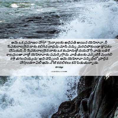 Picture 06 - 1 సమూయేలు 1:11 TELIRV - ఆమె ఒక ప్రమాణం - Bible Verse Picture