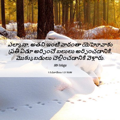 Picture 06 - 1 సమూయేలు 1:21 TELIRV - ఎల్కానా, అతని ఇంటి - Bible Verse Picture