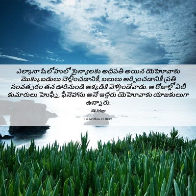 Picture 06 - 1 సమూయేలు 1:3 TELIRV - ఎల్కానా షిలోహులో - Bible Verse Picture