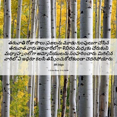 Picture 06 - 1 సమూయేలు 11:11 TELIRV - తరువాతి రోజు సౌలు - Bible Verse Picture