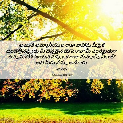 Picture 06 - 1 సమూయేలు 12:12 TELIRV - అయితే అమ్మోనీయుల - Bible Verse Picture