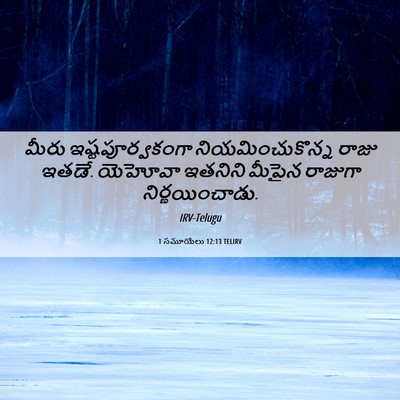 Picture 06 - 1 సమూయేలు 12:13 TELIRV - మీరు - Bible Verse Picture