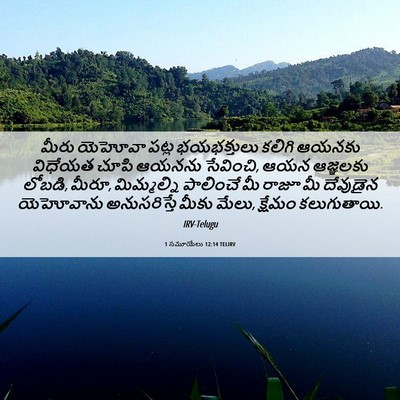 Picture 06 - 1 సమూయేలు 12:14 TELIRV - మీరు యెహోవా పట్ల - Bible Verse Picture