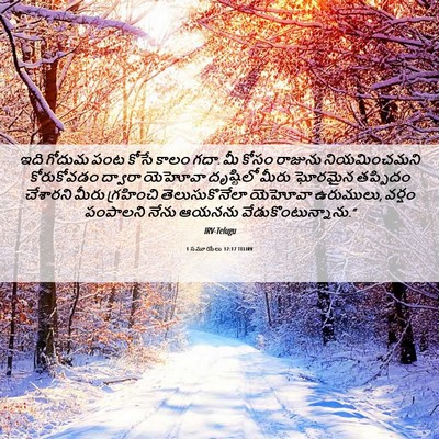 Picture 06 - 1 సమూయేలు 12:17 TELIRV - ఇది గోదుమ పంట కోసే - Bible Verse Picture
