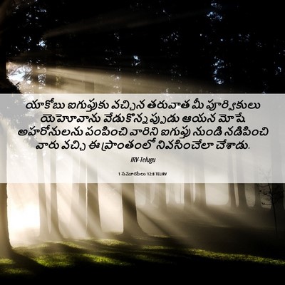 Picture 06 - 1 సమూయేలు 12:8 TELIRV - యాకోబు ఐగుప్తుకు - Bible Verse Picture