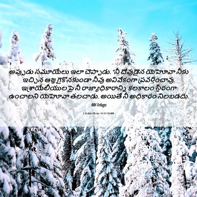 Picture 06 - 1 సమూయేలు 13:13 TELIRV - అప్పుడు సమూయేలు - Bible Verse Picture