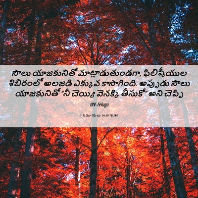 Picture 06 - 1 సమూయేలు 14:19 TELIRV - సౌలు యాజకునితో - Bible Verse Picture