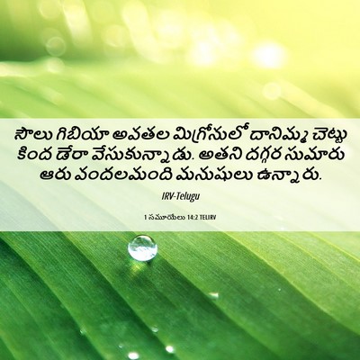 Picture 06 - 1 సమూయేలు 14:2 TELIRV - సౌలు గిబియా అవతల - Bible Verse Picture