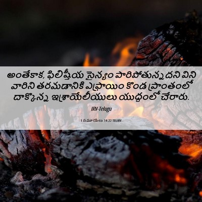 Picture 06 - 1 సమూయేలు 14:22 TELIRV - అంతేకాక, - Bible Verse Picture