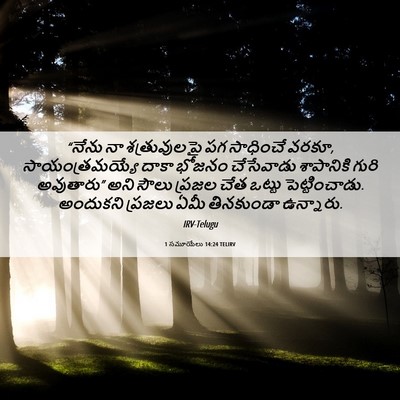 Picture 06 - 1 సమూయేలు 14:24 TELIRV - “నేను నా - Bible Verse Picture