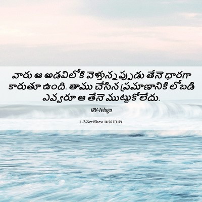 Picture 06 - 1 సమూయేలు 14:26 TELIRV - వారు ఆ అడవిలోకి - Bible Verse Picture