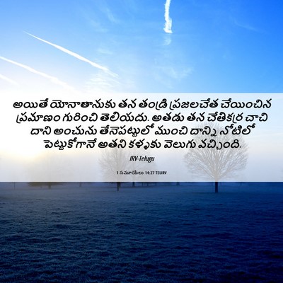 Picture 06 - 1 సమూయేలు 14:27 TELIRV - అయితే యోనాతానుకు - Bible Verse Picture