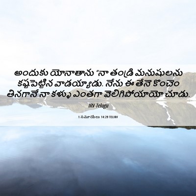 Picture 06 - 1 సమూయేలు 14:29 TELIRV - అందుకు యోనాతాను - Bible Verse Picture