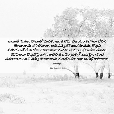 Picture 06 - 1 సమూయేలు 14:45 TELIRV - అయితే ప్రజలు - Bible Verse Picture