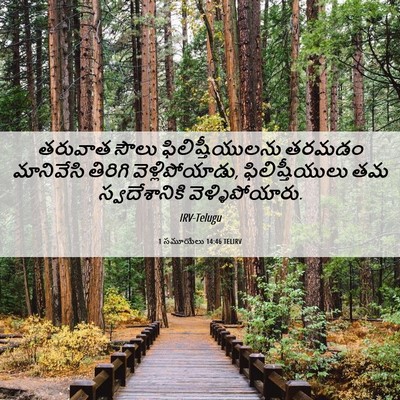 Picture 06 - 1 సమూయేలు 14:46 TELIRV - తరువాత సౌలు - Bible Verse Picture