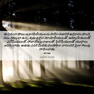 Picture 06 - 1 సమూయేలు 14:47 TELIRV - ఈ విధంగా సౌలు - Bible Verse Picture