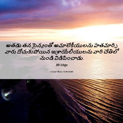 Picture 06 - 1 సమూయేలు 14:48 TELIRV - అతడు తన సైన్యంతో - Bible Verse Picture