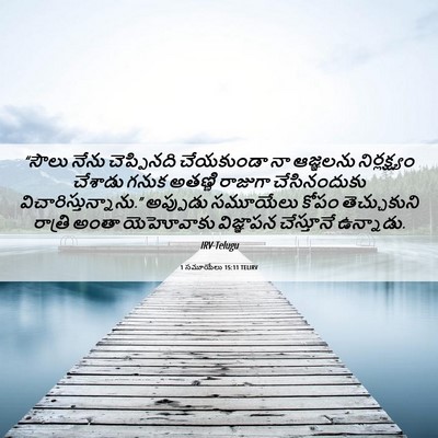 Picture 06 - 1 సమూయేలు 15:11 TELIRV - “సౌలు నేను - Bible Verse Picture