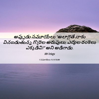 Picture 06 - 1 సమూయేలు 15:14 TELIRV - అప్పుడు సమూయేలు - Bible Verse Picture