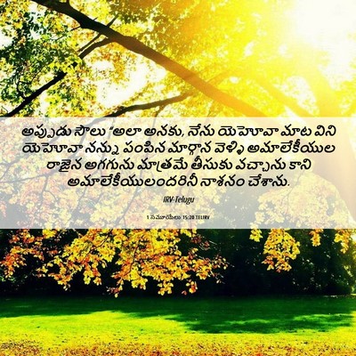 Picture 06 - 1 సమూయేలు 15:20 TELIRV - అప్పుడు సౌలు “అలా - Bible Verse Picture