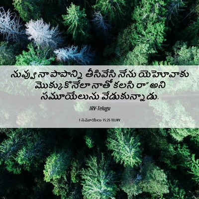 Picture 06 - 1 సమూయేలు 15:25 TELIRV - నువ్వు నా - Bible Verse Picture