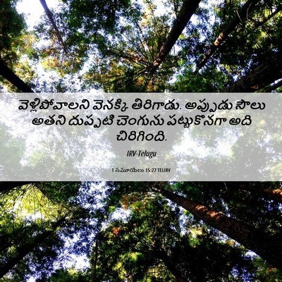 Picture 06 - 1 సమూయేలు 15:27 TELIRV - వెళ్లిపోవాలని - Bible Verse Picture