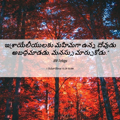 Picture 06 - 1 సమూయేలు 15:29 TELIRV - ఇశ్రాయేలీయులకు - Bible Verse Picture