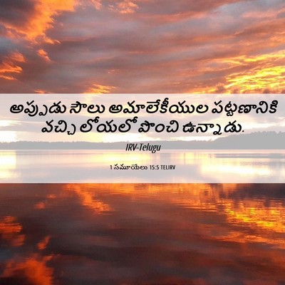 Picture 06 - 1 సమూయేలు 15:5 TELIRV - అప్పుడు సౌలు - Bible Verse Picture